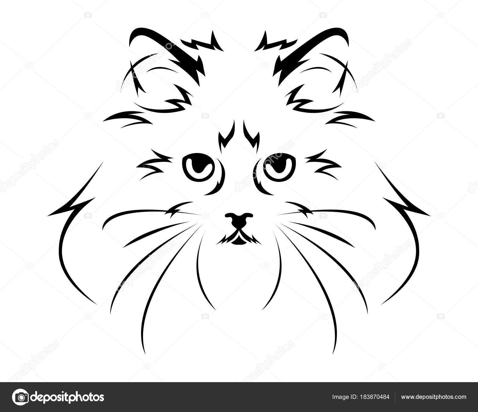 ragdoll art