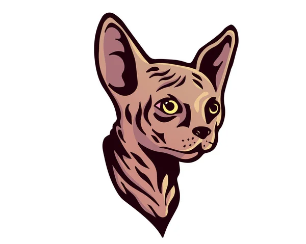 珍しい猫種イラスト スフィンクス — ストックベクタ