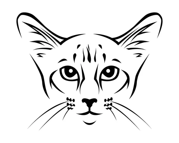 Cat Breed Line Art Logo Balinês — Vetor de Stock