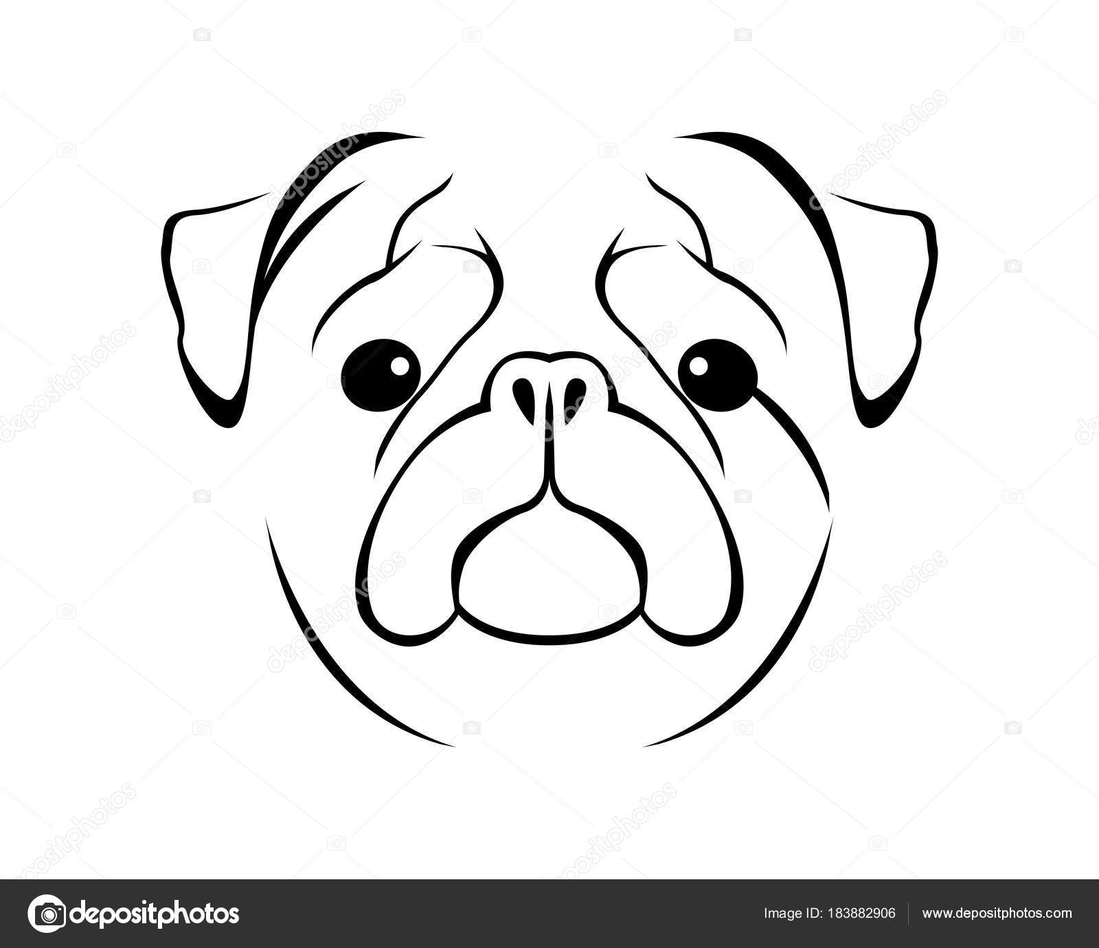 Pug Line Drawing - Clashing Pride
