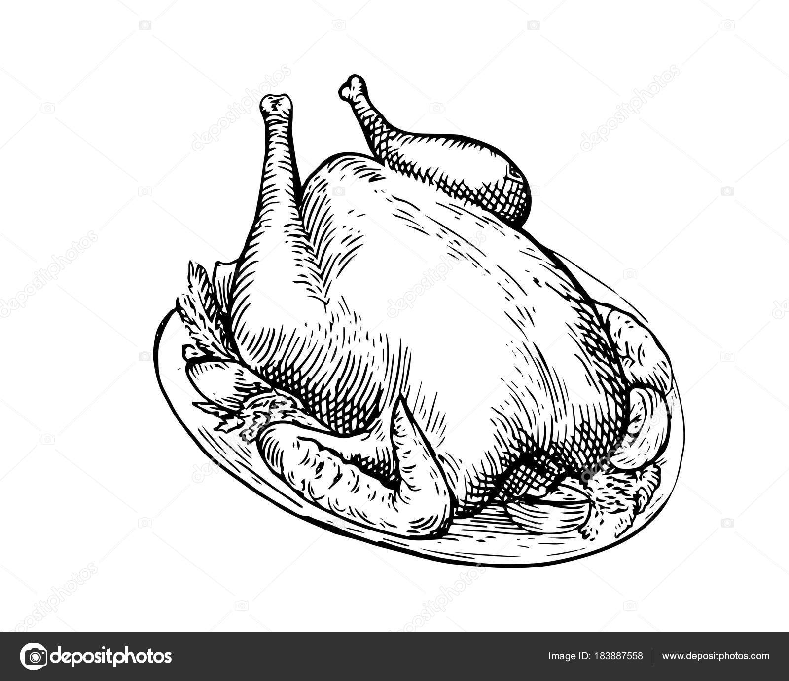 2,400+ Hen Line Drawing Stock Illustrations, Royalty-Free Vector Graphics &  Clip Art - iStock | Chicken line drawing