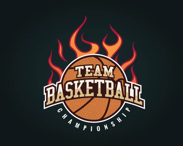 Logo Insignia Deportiva Aislada Profesional Moderna Campeonato Baloncesto Equipo Llamas — Vector de stock