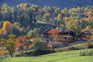 Artvin, Türkiye, Fotoğraf: 15 Ekim 2019: Sonbahar manzarası ve Türk doğa evleri