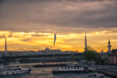 Gün batımında oltaya ters ışık yansıtan balıklar.