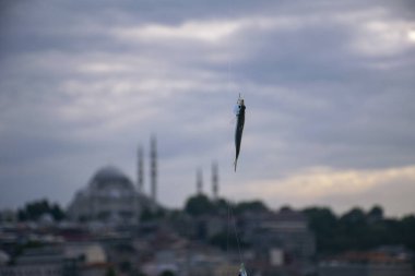 Süleyman, balığın arkasındaki ufuk çizgisi. Balık kancasının arka planında Süleyman Camii