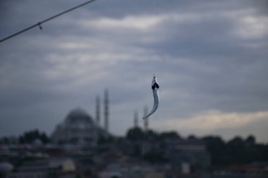 Süleyman, balığın arkasındaki ufuk çizgisi. Balık kancasının arka planında Süleyman Camii