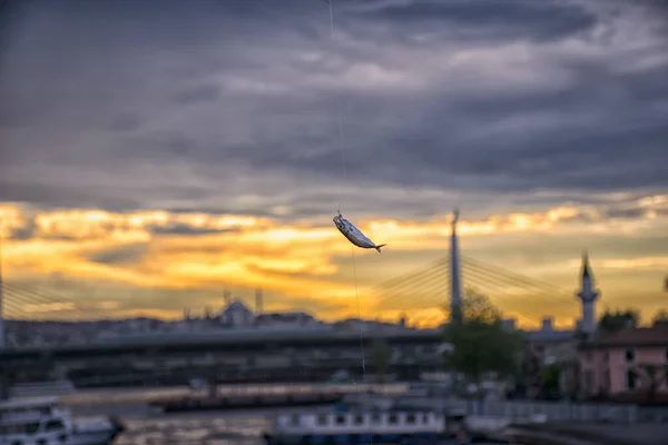 Fische Die Während Des Sonnenuntergangs Der Angelrute Mit Gegenlicht Hängen — Stockfoto