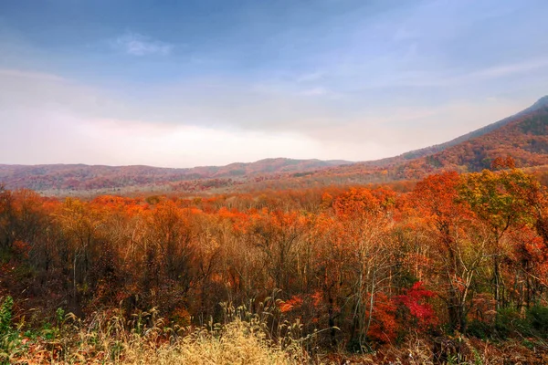 Parc national des monts Great Smoky — Photo