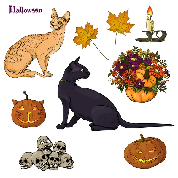 Halloween conjunto gatos calabazas hoja velas Gráficos Vectoriales