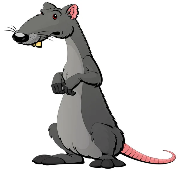 Dodgy gray rat. Cartoon character. — Stock Vector