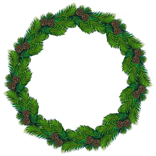 Frame Wreath Cedar Pine Cones — Stock Vector