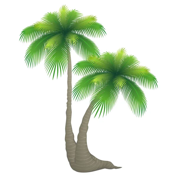 Cartoon Tropical Palm Tree — Stock Vector