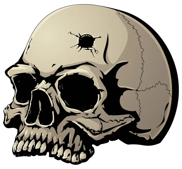 Cabeza perforada fotos de stock, imágenes de Cabeza perforada sin