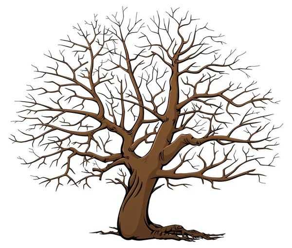 Arbre Sans Feuilles Bois Sec Cartoon Style — Image vectorielle