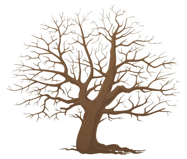 葉のない木 乾燥木材 — ストックベクタ