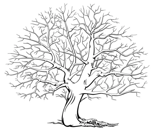 Árbol Monocromo Sin Hojas Madera Seca Blanco Negro — Archivo Imágenes Vectoriales