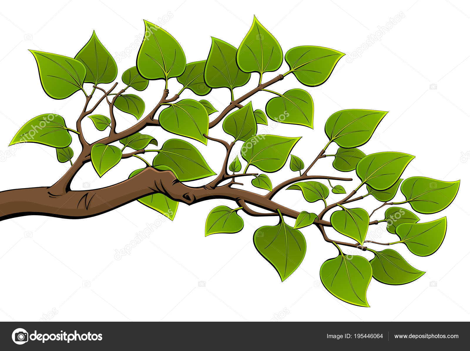 Rama Árbol Con Hojas Verdes — Archivo Imágenes Vectoriales © comsorg