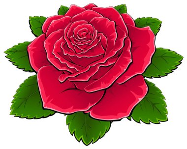 Yapraklı kırmızı gül.