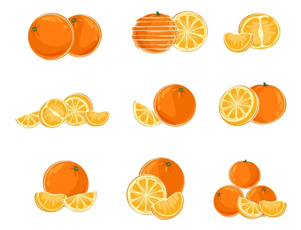 Différentes variantes d'oranges — Image vectorielle
