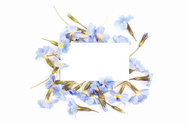 Empty card  and floral composition — Stock Photo, Image