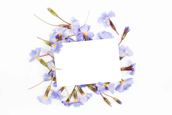 Komposisi kartu kosong dan bunga — Stok Foto
