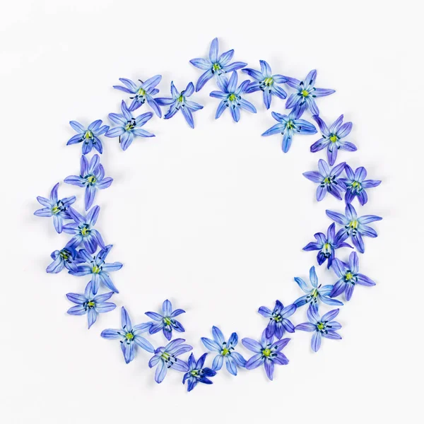用蓝色花卉做成的花环 — 图库照片