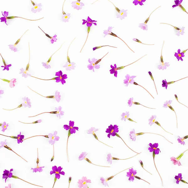Frame gemaakt van bloemen — Stockfoto