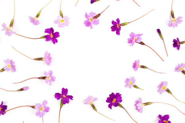  Рамка из фиолетовых цветов
