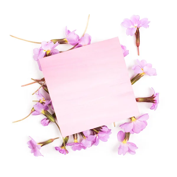 Pink  empty  card and flowers — Stock Photo, Image