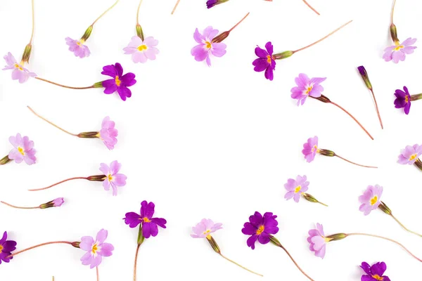 Frame made of purple flowers — Stock Image Frame made of purple flowers Royalty Free Stock Photos