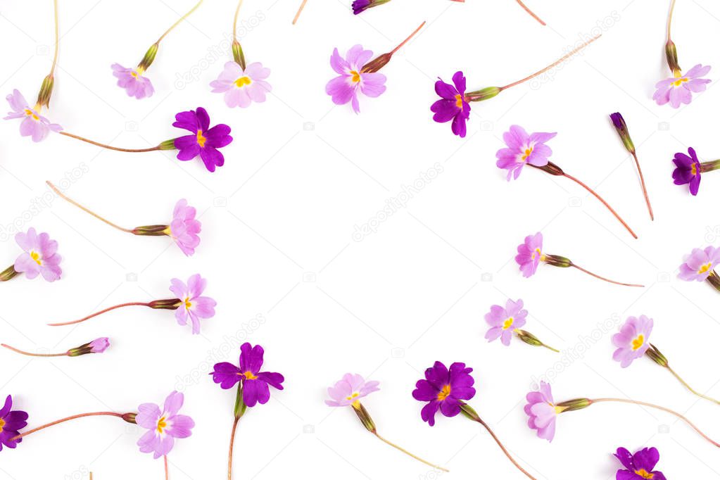  Frame made  of  purple flowers