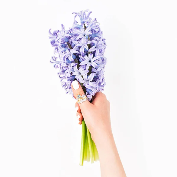 Hand som håller blå hyacint blommor — Stockfoto