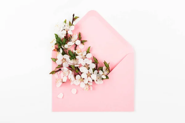 Amplop merah muda dengan ranting mekar musim semi — Stok Foto
