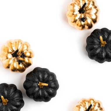 Parlak dekoratif kabaklar