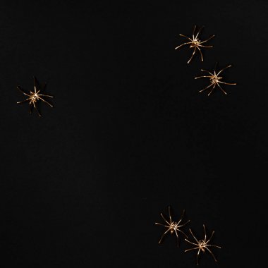 yaratıcı altın örümcek