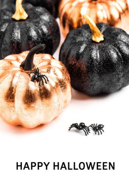 Parlak dekoratif kabaklar