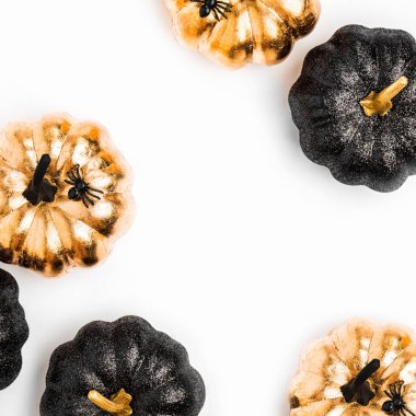 Parlak dekoratif kabaklar