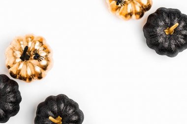 Parlak dekoratif kabaklar