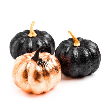 Parlak dekoratif kabaklar