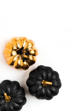 Parlak dekoratif kabaklar