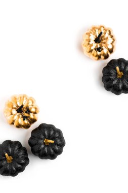 Parlak dekoratif kabaklar