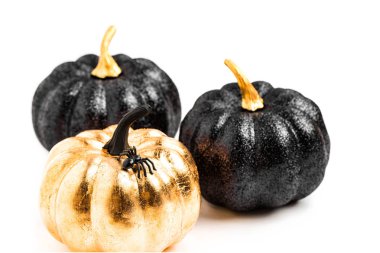 Parlak dekoratif kabaklar