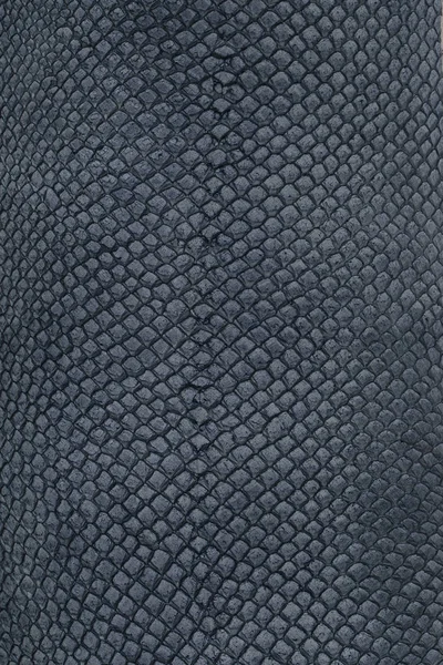 Exotic leather texture