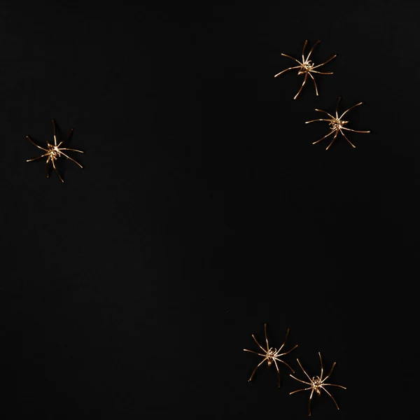 크리에이 티브 황금 거미 — 스톡 사진