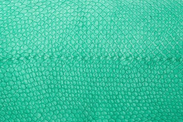 Exotic leather texture