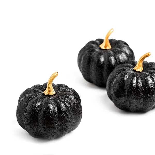 Parlak siyah kabaklar