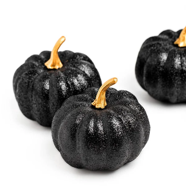 Parlak siyah kabaklar