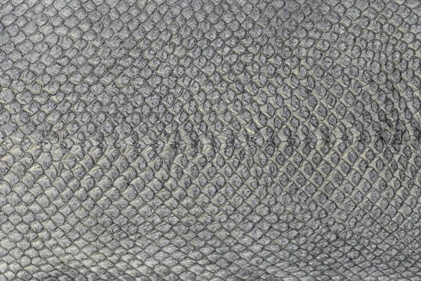 Exotic leather texture