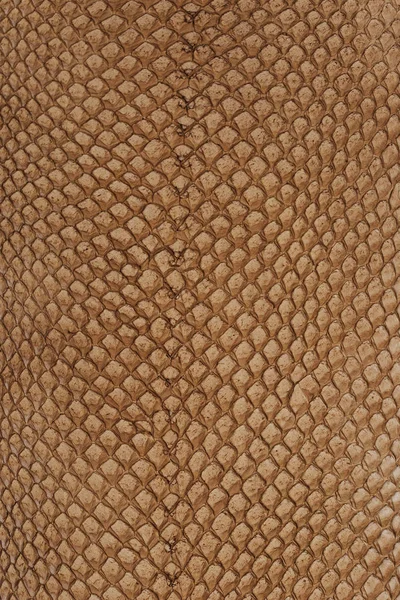 Exotic leather texture