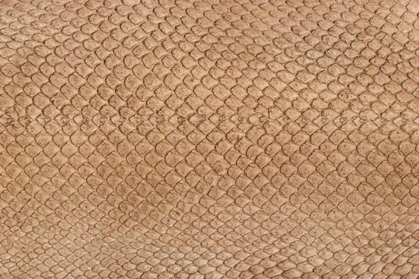 Exotic leather texture